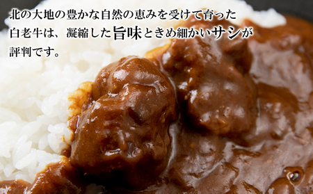 和牛 ビーフカレー 4個セット＜徳寿＞ 200ｇ×4袋 BJ036