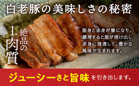 北海道産 白老豚 バラ ブロック 600g×2パック BV007