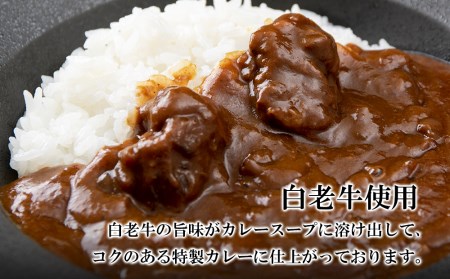 定期便 12カ月 和牛 ビーフカレー 6個セット<徳寿> 200g×6袋