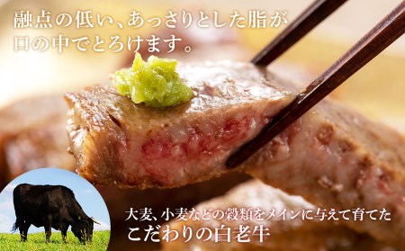 北海道 白老産 黒毛和牛 サーロイン ステーキ 200ｇ×2枚