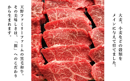 【12月25日決済分まで年内発送】北海道 白老産 黒毛和牛 特上 モモ 焼肉 500ｇ (2・3人前) BS011