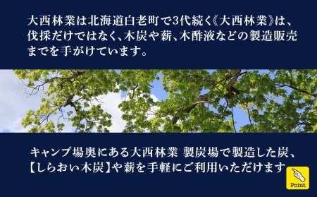 キャンプ場 利用補助券 ブウベツの森 北海道 白老町 （4000円分）