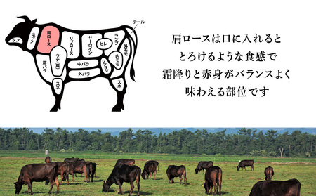 【12月25日決済分まで年内発送】北海道 白老産 黒毛和牛 肩ロース すき焼き 500g (2・3人前) BS033