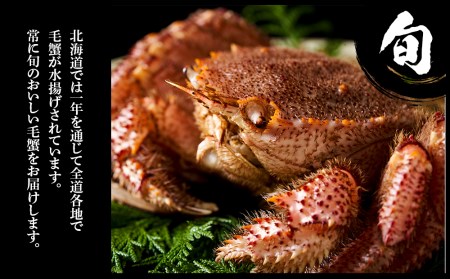 毛蟹 ボイル済み 冷凍 2尾セット 約1.6kg BM285