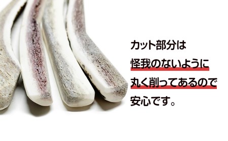 鹿の角 エゾシカ 犬のおもちゃ 『鹿角さん』 小型犬用　四つ割りロング　1本