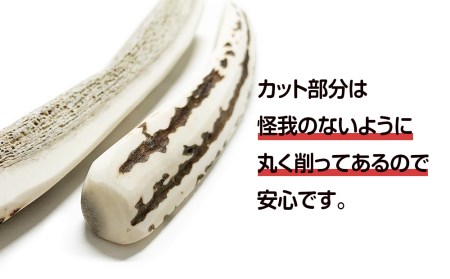 鹿の角 エゾシカ 犬のおもちゃ 『鹿角さん』 中型犬用 四つ割り 1本