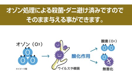 鹿の角 エゾシカ 犬のおもちゃ 『鹿角さん』 中型犬用 四つ割り 1本