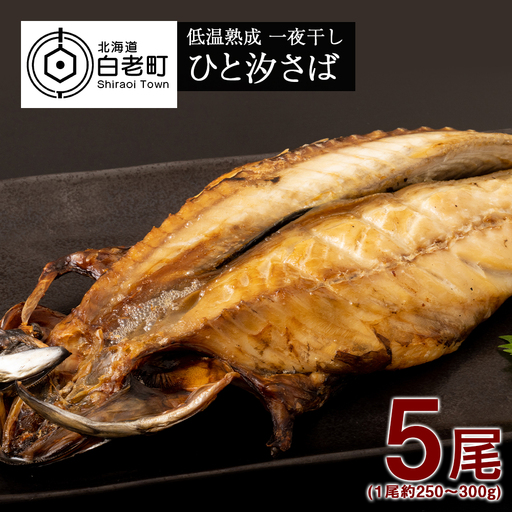 低温熟成 一夜干し ひと汐さば 5尾 ＜虎杖浜加工＞ AA025