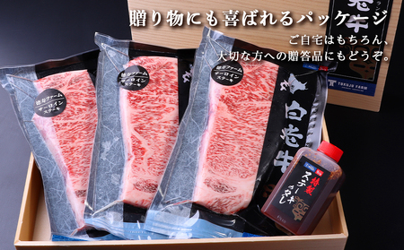 白老牛 サーロイン ステーキ 200ｇ×9枚 （1.8㎏） 特製ソース付き 和牛 牛肉 ギフト 北海道＜徳寿＞ BJ062