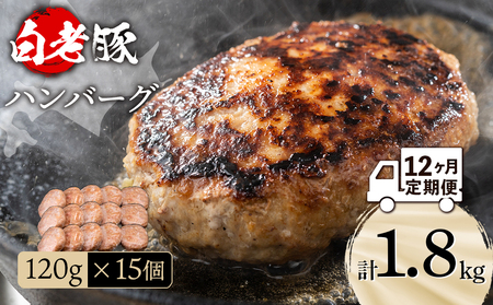 【定期便 12カ月】 北海道産 白老豚 ハンバーグ 120ｇ×15個 セット 冷凍 洋食 おかず BV036