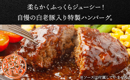 【定期便 12カ月】 北海道産 白老豚 ハンバーグ 120ｇ×15個 セット 冷凍 洋食 おかず BV036