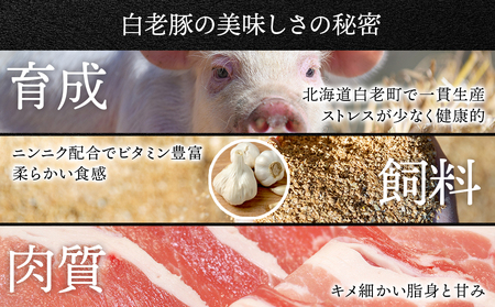 【定期便 6カ月】 北海道産 白老豚 ハンバーグ 120ｇ×20個 セット 冷凍 洋食 おかず BV038