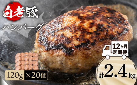 【定期便 12カ月】 北海道産 白老豚 ハンバーグ 120ｇ×20個 セット 冷凍 洋食 おかず BV039