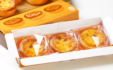 エッグタルト3個入り×5箱セット AR093
