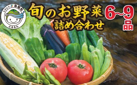 阿波の国海陽町　旬のお野菜詰め合わせセット６‐９品