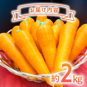 日本を平和にする人参　Peace&Carrots　約２㎏セット  栽培期間中農薬不使用