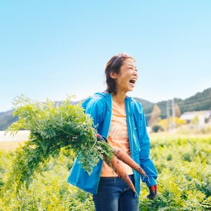 日本を平和にする人参　Peace&Carrots　約２㎏セット  栽培期間中農薬不使用