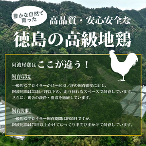阿波尾鶏骨つき地鶏のごちそうカレー ５人前セット | 徳島県海陽町