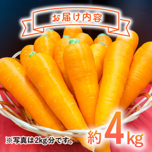 日本を平和にする人参 Peace&Carrots 約４㎏セット 人参 約4kg 栽培期間中 農薬不使用 にんじん ニンジン 野菜 カロテン 食物繊維 栽培期間中農薬不使用