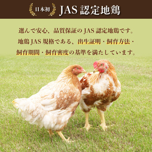 阿波尾鶏骨つき地鶏のごちそうカレー １０人前セット | 徳島県海陽町