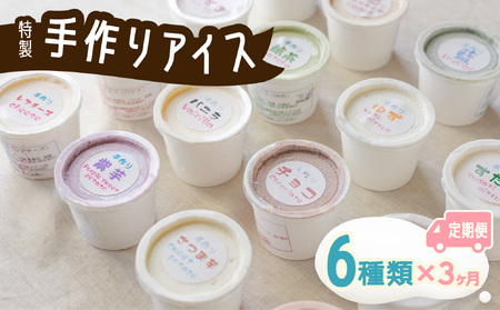 【定期便連続３か月】海陽町特製アイス　ユニークな味６種類セット！　