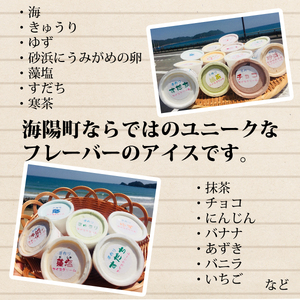 【定期便連続３か月】海陽町特製アイス　ユニークな味６種類セット！　