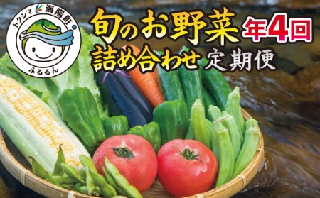 SGN15【定期便年４回】阿波の国海陽町　旬のお野菜詰め合わせセット４-５名様以上向け