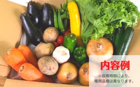 【定期便年４回】阿波の国海陽町　旬のお野菜詰め合わせセット１０‐１３品×４回