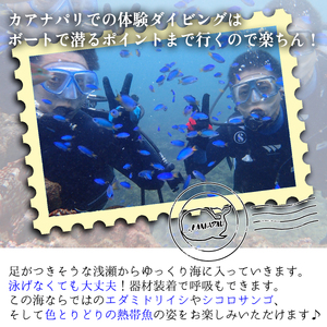 徳島最南端の海で体験ダイビング！