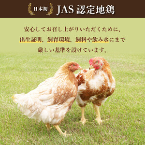 旅する阿波尾鶏シリーズ 3種 各10食入 計30食 バターチキンカレー