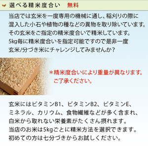 こしひかり 玄米時重量 5kg×3回 3ヶ月連続 定期便 玄米時重量15kg 分づき米 対応可 真空パック コシヒカリ 米 簡易梱包 エコ梱包 分つき米 分付き米 ぶづきまい 白米 七分づき 7分づき 五分づき 5分づき 三分づき 3分づき 玄米