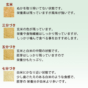 こしひかり 玄米時重量 5kg×3回 3ヶ月連続 定期便 玄米時重量15kg 分づき米 対応可 真空パック コシヒカリ 米 簡易梱包 エコ梱包 分つき米 分付き米 ぶづきまい 白米 七分づき 7分づき 五分づき 5分づき 三分づき 3分づき 玄米