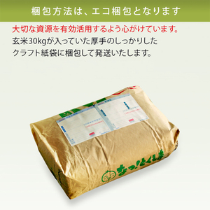 はなえちぜん 白米 5kg×2袋×6回 6ヶ月連続 定期便 60kg 真空パック ハナエチゼン 米 簡易梱包 エコ梱包