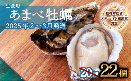 先行予約 あまべ牡蠣 22個 牡蠣 シングルシード 生食用 殻付き かき カキ オイスター 生ガキ 生牡蠣 生がき 生かき ギフト 貝 旨味   【2025年2-3月発送】