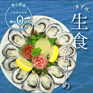 先行予約 あまべ牡蠣 22個 牡蠣 シングルシード 生食用 殻付き かき カキ オイスター 生ガキ 生牡蠣 生がき 生かき ギフト 貝 旨味   【2025年2-3月発送】