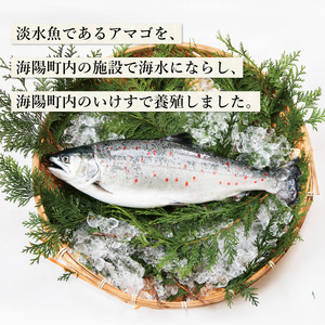 サツキマス フィレ 約500g さつきます 阿波さつき 徳島県産 サーモン 冷凍