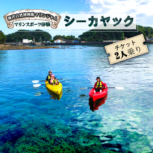 シーカヤック 体験チケット 2人乗り 1艇 カヤック レジャー マリンスポーツ マリンアクティビティ マリンジャム 竹ヶ島 竹ケ島 四国 徳島 徳島県 海陽 海陽町