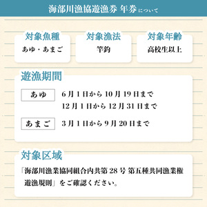 海部川漁協遊漁券 年券 １名分 アユ アマゴ 釣り