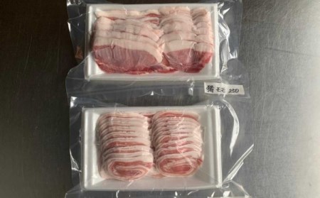 猪肉 カルビ モモ スライス 計550g セット 食べ比べ ジビエ 肉 猪 いのしし イノシシ 薄切り ぼたん鍋 冷凍 阿波ジビエ 阿波地美栄