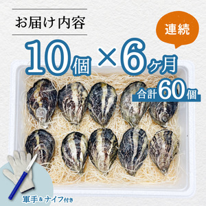 【あまべ牡蠣 10個 6ヶ月連続定期便】あまべ牡蠣 10個 6ヶ月定期便 60個 牡蠣 シングルシード 生食用 殻付き かき カキ オイスター 生ガキ 生牡蠣 生がき 生かき ギフト 貝 旨味