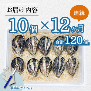 【あまべ牡蠣 10個 12ヶ月連続定期便】あまべ牡蠣 10個 12ヶ月定期便 120個 牡蠣 シングルシード 生食用 殻付き かき カキ オイスター 生ガキ 生牡蠣 生がき 生かき ギフト 貝 旨味