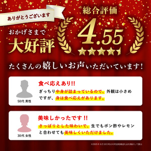 【あまべ牡蠣 20個 6ヶ月連続定期便】あまべ牡蠣 20個 6ヶ月定期便 120個 牡蠣 シングルシード 生食用 殻付き かき カキ オイスター 生ガキ 生牡蠣 生がき 生かき ギフト 貝 旨味