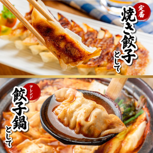 阿波尾鶏 薄皮生餃子 36個 18ケ入×2P 餃子 ぎょうざ 地鶏 中華 簡単調理 冷凍