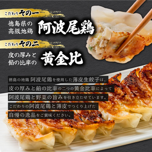 阿波尾鶏 薄皮生餃子 72個 18ケ入×4P 餃子 ぎょうざ 地鶏 中華 簡単調理 冷凍