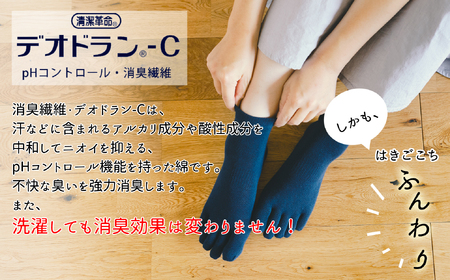 五本指消臭ソックス2足セット(スニーカー丈/25~27cm/紳士サイズ) 五本指 靴下 2足 消臭 ソックス セット スニーカー丈 25~27cm 紳士サイズ くつした メンズ 紳士