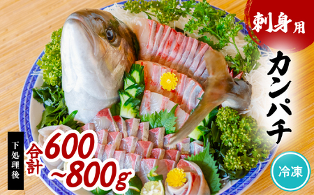 カンパチ 刺身用 約650g~750g かんぱち 勘八 小分け 養殖 冷凍
