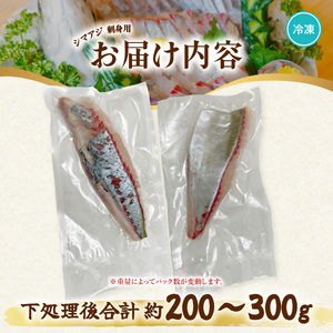 シマアジ 刺身用 約200～300g しまあじ 縞鯵 小分け 養殖 冷凍