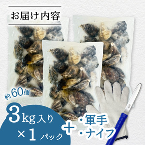 あまべ牡蠣 冷凍 3kg 牡蠣 シングルシード 生食用 殻付き かき カキ オイスター 生ガキ 生牡蠣 生がき 生かき