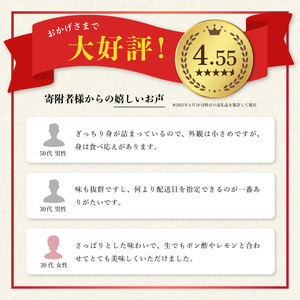 あまべ牡蠣 冷凍 5kg 牡蠣 シングルシード 生食用 殻付き かき カキ オイスター 生ガキ 生牡蠣 生がき 生かき