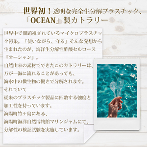 先行予約 阿波尾鶏と海しそのリゾット 3食 セット ブイヨン仕立て 防災食【2026年6月以降発送】